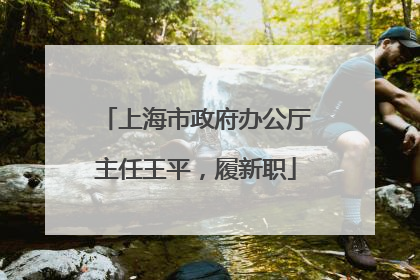 上海市政府办公厅主任王平，履新职