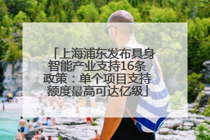 上海浦东发布具身智能产业支持16条政策：单个项目支持额度最高可达亿级