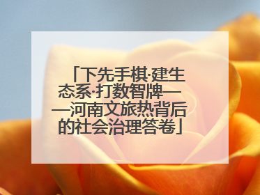 下先手棋·建生态系·打数智牌——河南文旅热背后的社会治理答卷