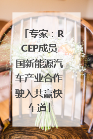专家：RCEP成员国新能源汽车产业合作驶入共赢快车道
