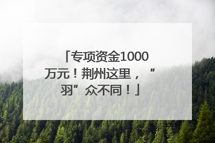专项资金1000万元！荆州这里，“羽”众不同！
