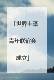 世界丰泽青年联谊会成立