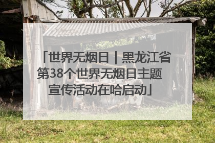 世界无烟日｜黑龙江省第38个世界无烟日主题宣传活动在哈启动