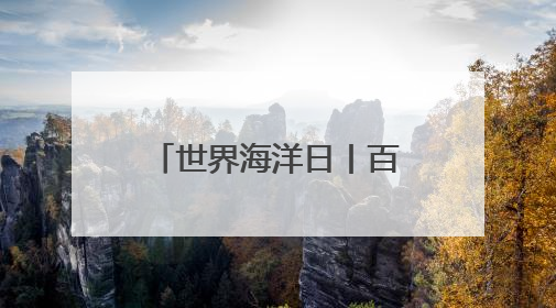 世界海洋日丨百年内数量锐减至不足1% 非洲企鹅为何迅速消失？