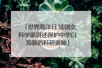 世界海洋日 法国女科学家讲述保护中华白海豚的科研奥秘