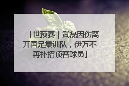 世预赛｜武磊因伤离开国足集训队，伊万不再补招顶替球员