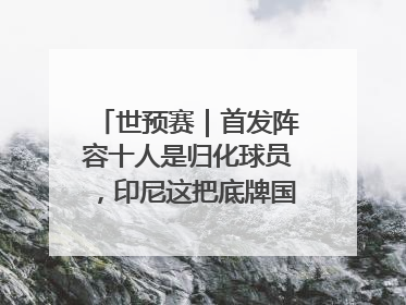 世预赛｜首发阵容十人是归化球员，印尼这把底牌国足如何应对？