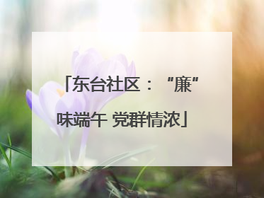 东台社区：“廉”味端午 党群情浓