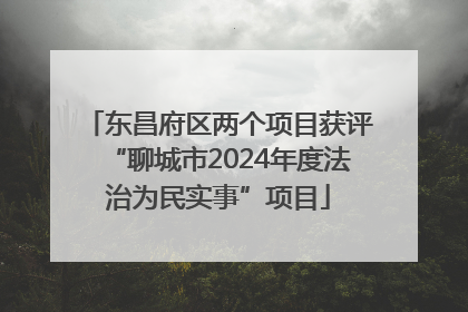 东昌府区两个项目获评“聊城市2024年度法治为民实事”项目