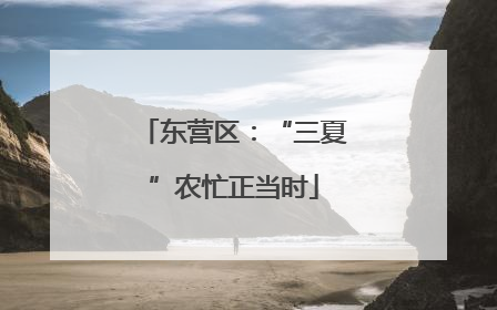东营区：“三夏”农忙正当时