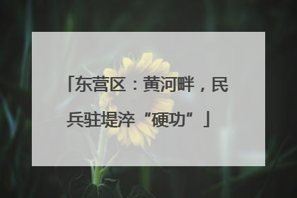 东营区：黄河畔，民兵驻堤淬“硬功”