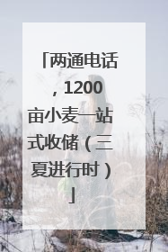 两通电话，1200亩小麦一站式收储（三夏进行时）