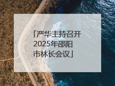 严华主持召开2025年邵阳市林长会议