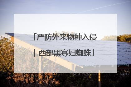 严防外来物种入侵｜西部黑寡妇蜘蛛