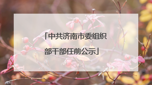 中共济南市委组织部干部任前公示