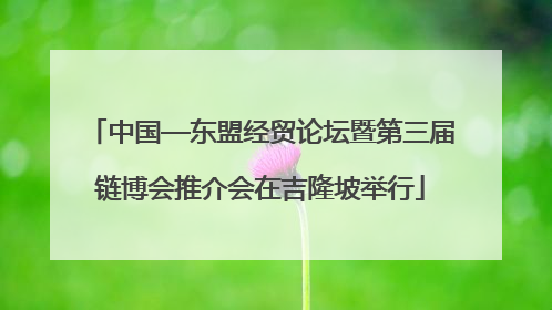 中国—东盟经贸论坛暨第三届链博会推介会在吉隆坡举行
