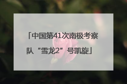 中国第41次南极考察队“雪龙2”号凯旋