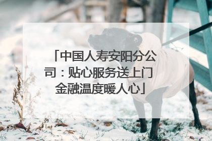 中国人寿安阳分公司：贴心服务送上门 金融温度暖人心