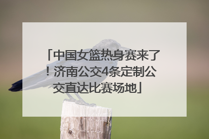 中国女篮热身赛来了！济南公交4条定制公交直达比赛场地