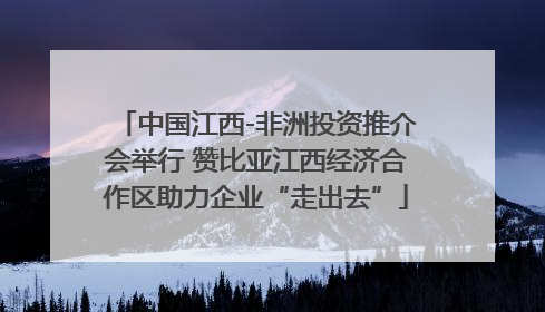 中国江西-非洲投资推介会举行 赞比亚江西经济合作区助力企业“走出去”