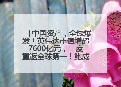 中国资产，全线爆发！英伟达市值增超7600亿元，一度重返全球第一！鲍威尔与特朗普会面，他们聊了什么？