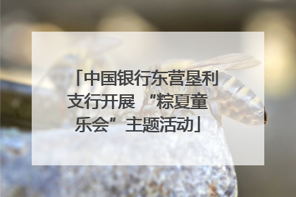 中国银行东营垦利支行开展 “粽夏童乐会”主题活动