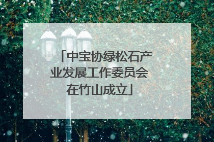 中宝协绿松石产业发展工作委员会在竹山成立
