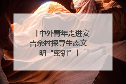 中外青年走进安吉余村探寻生态文明“密钥”