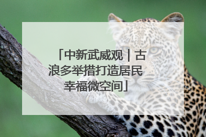 中新武威观｜古浪多举措打造居民幸福微空间