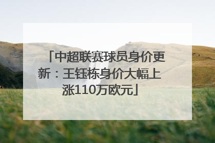 中超联赛球员身价更新：王钰栋身价大幅上涨110万欧元