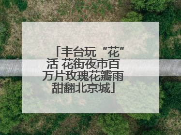 丰台玩“花”活 花街夜市百万片玫瑰花瓣雨甜翻北京城