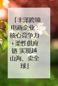 丰泽跨境电商企业：核心竞争力+柔性供应链 实现越山海、卖全球