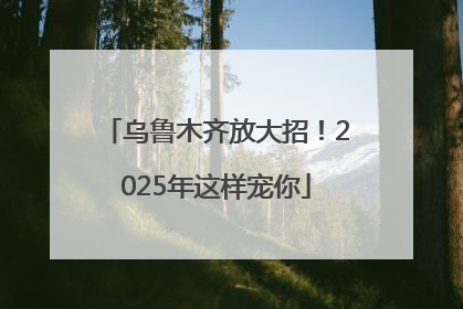 乌鲁木齐放大招！2025年这样宠你