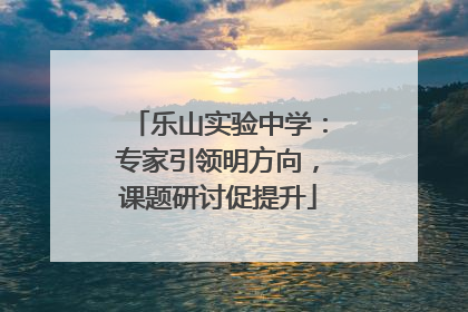 乐山实验中学：专家引领明方向，课题研讨促提升