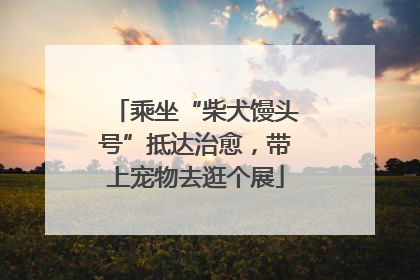 乘坐“柴犬馒头号”抵达治愈，带上宠物去逛个展
