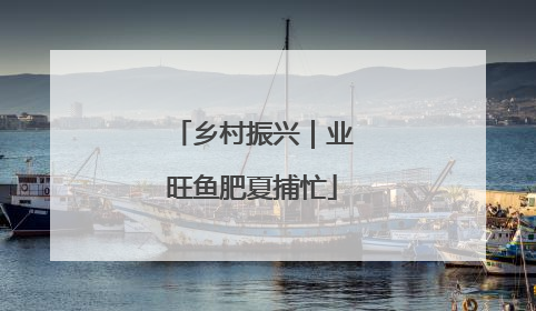 乡村振兴｜业旺鱼肥夏捕忙