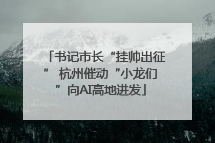书记市长“挂帅出征” 杭州催动“小龙们”向AI高地进发