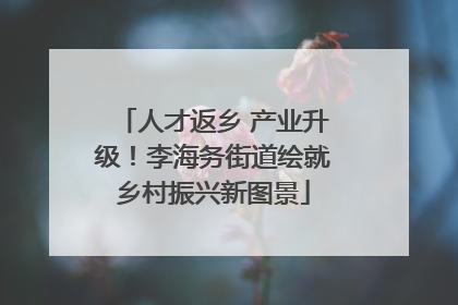 人才返乡 产业升级！李海务街道绘就乡村振兴新图景