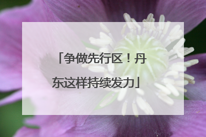 争做先行区！丹东这样持续发力