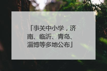 事关中小学，济南、临沂、青岛、淄博等多地公布