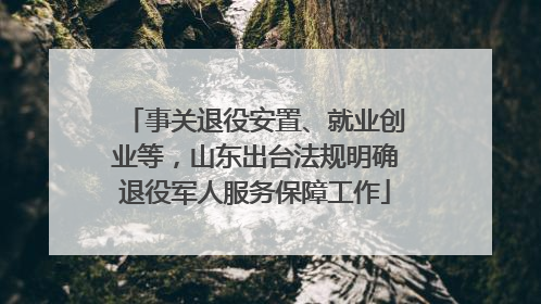 事关退役安置、就业创业等，山东出台法规明确退役军人服务保障工作