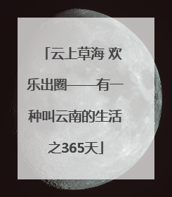 云上草海 欢乐出圈——有一种叫云南的生活之365天