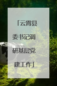 云霄县委书记调研基层党建工作