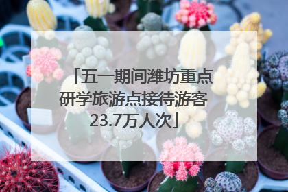 五一期间潍坊重点研学旅游点接待游客23.7万人次