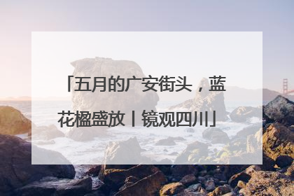 五月的广安街头，蓝花楹盛放丨镜观四川