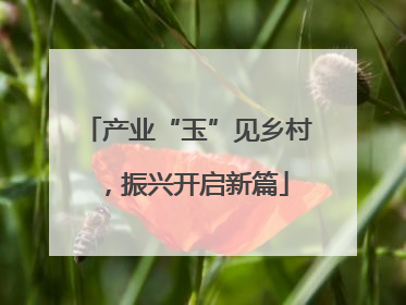 产业“玉”见乡村，振兴开启新篇