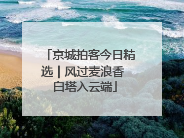 京城拍客今日精选｜风过麦浪香 白塔入云端