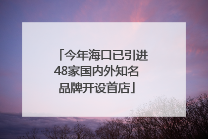 今年海口已引进48家国内外知名品牌开设首店