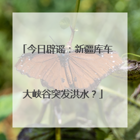 今日辟谣：新疆库车大峡谷突发洪水？