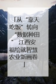 从“靠天吃饭”转向“数据种田” 江西安福绘就智慧农业新画卷